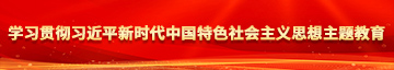 伊人美女日穴学习贯彻习近平新时代中国特色社会主义思想主题教育